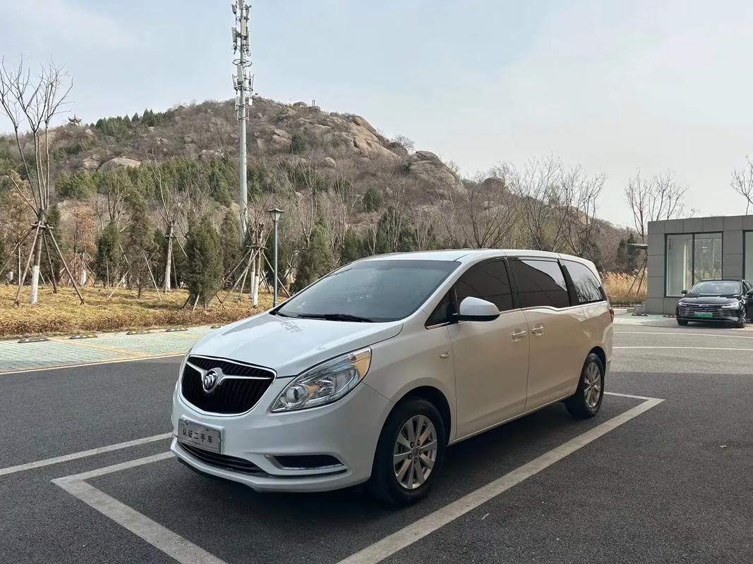 俗称胖头鱼是什么车_商务MPV标杆，二十年销量冠军