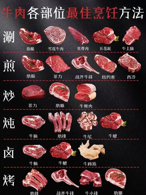 牛肉区分部位图片_牛肉挑选有妙招，不同部位做法不同