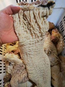 牛碗口是牛B吗_广东广西特色美食，卤熟鲜嫩，凉拌蘸酱美味可口