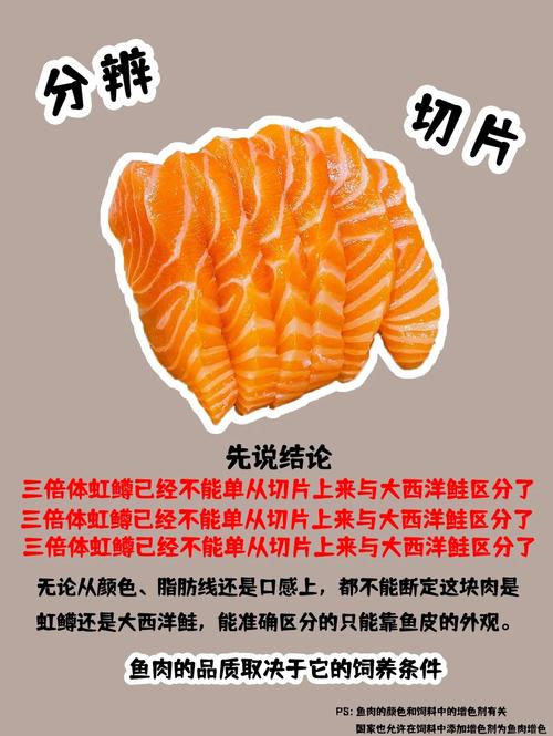 虹鳟是三文鱼的一种吗_口感营养怎么选？