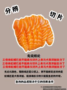 虹鳟是三文鱼的一种吗_口感营养怎么选？