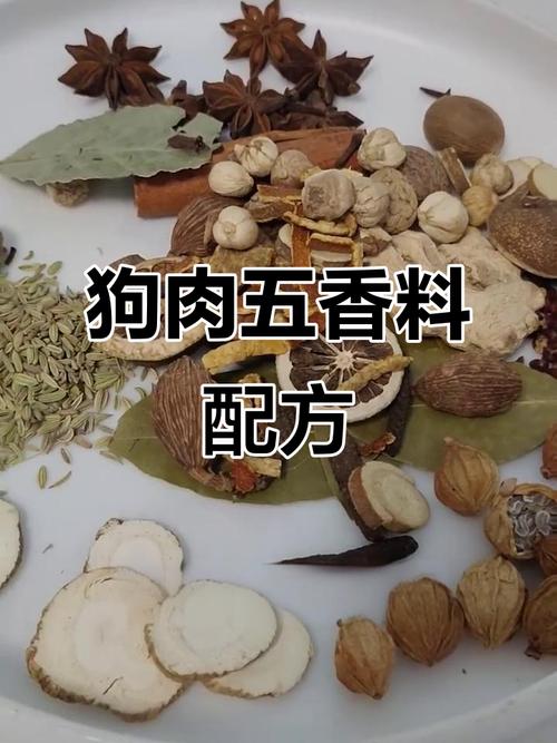 煮狗肉放什么调料去腥_姜酒陈皮是关键