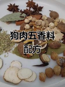 煮狗肉放什么调料去腥_姜酒陈皮是关键