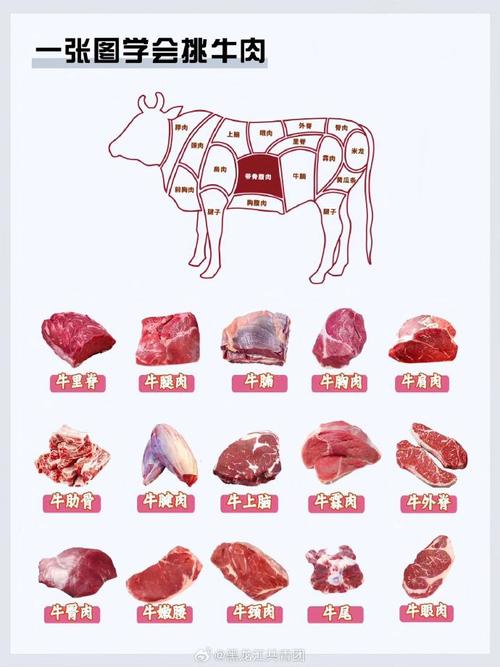 牛脊肉属于哪个部位_牛脊肉做法全攻略，嫩滑美味这样吃！