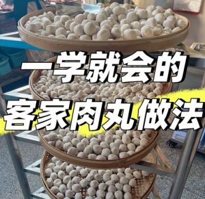 家常肉丸子正宗做法_猪肉萝卜虾仁，团圆美味，简单易学！