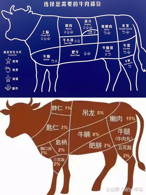 牛肉眼肉部位图解_牛肉部位怎么挑？看图选肉眼西冷牛肋条上脑！
