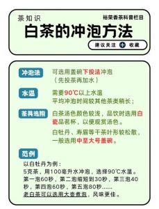白茶的正确冲泡方法_年份水温器具，新茶快出老茶闷煮！