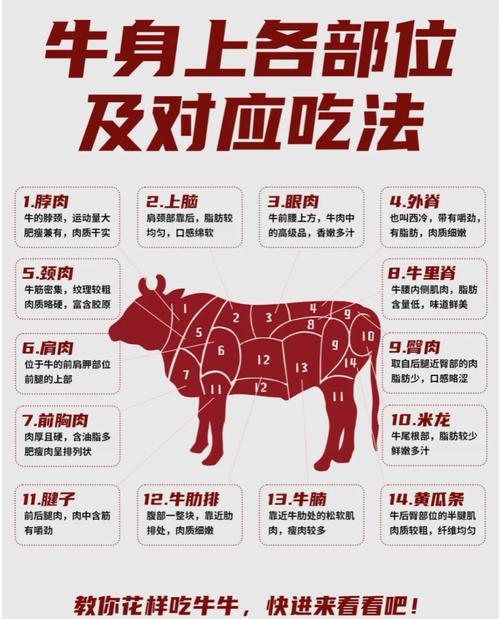 牛吊龙肉部位图解_火锅稀贵部位，嫩滑不腻好涮