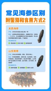 海参和羊肉能一起吃吗_滋补好搭配，痛风者慎选