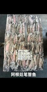 笔管鱼里面的透明长条是什么_餐桌笔管鱼透明条是软骨，需去除口感更佳