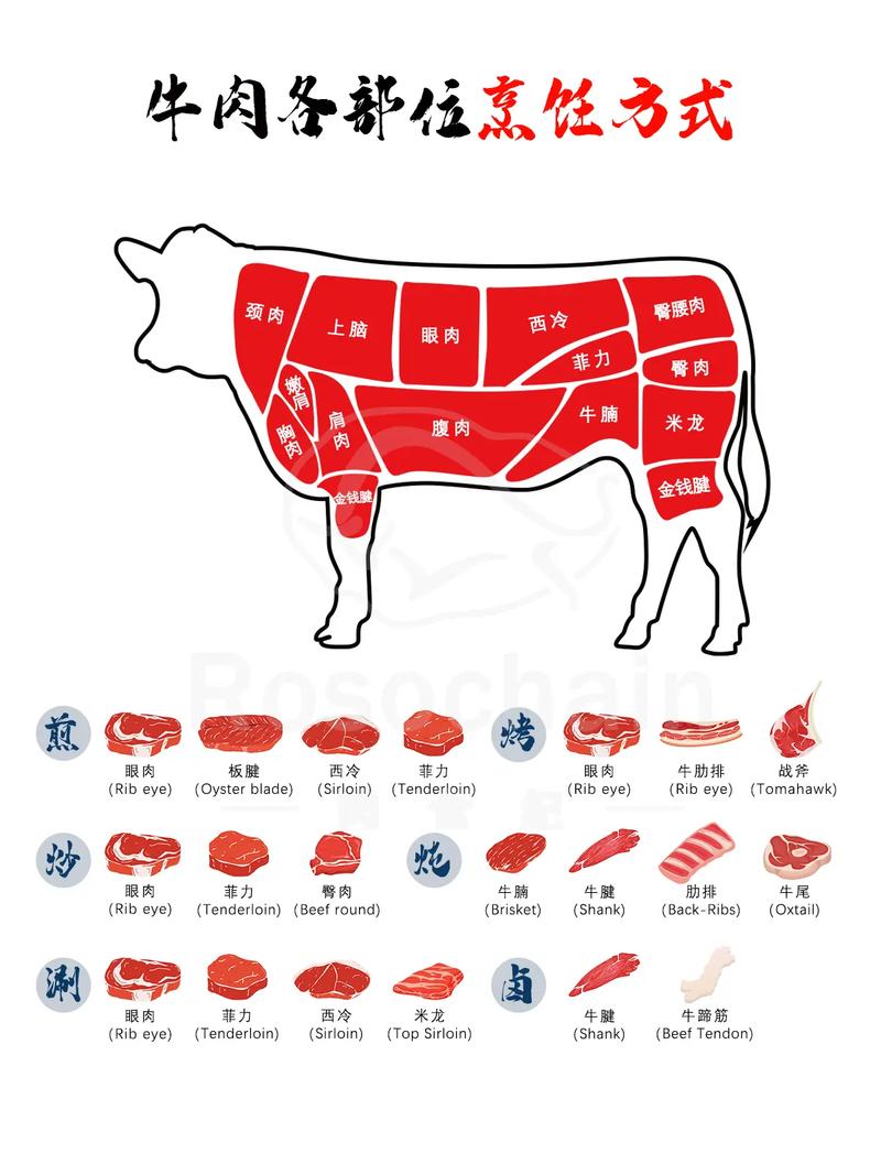 肉牛分割部位图解析_牛肉分割七大部分，不同部位烹饪方法不同