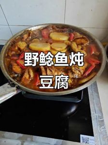 正宗鲶鱼炖豆腐做法_东北鲶鱼炖豆腐，砂锅香浓，家常美味！