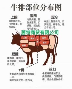 牛腩筋是牛哪个部位的肉_西红柿炖牛腩筋，软烂入味好滋味！