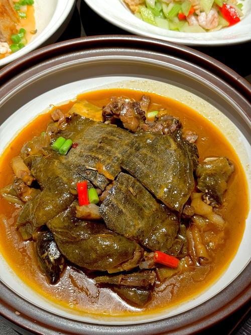 国宝级十大名菜_东坡肉宫保鸡丁北京烤鸭佛跳墙清蒸鲈鱼！