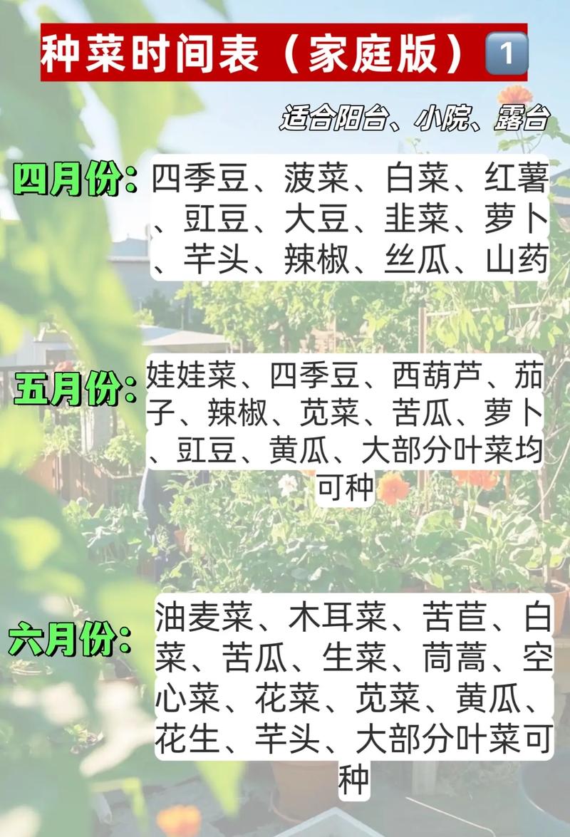 油菜北方几月份种_北方春油菜种植关键期3-4月，需待土解冻，精细管理