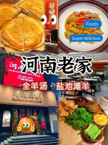 豫菜十大招牌菜菜名_鲤鱼焙面汴京烤鸭，豫菜风味独特！