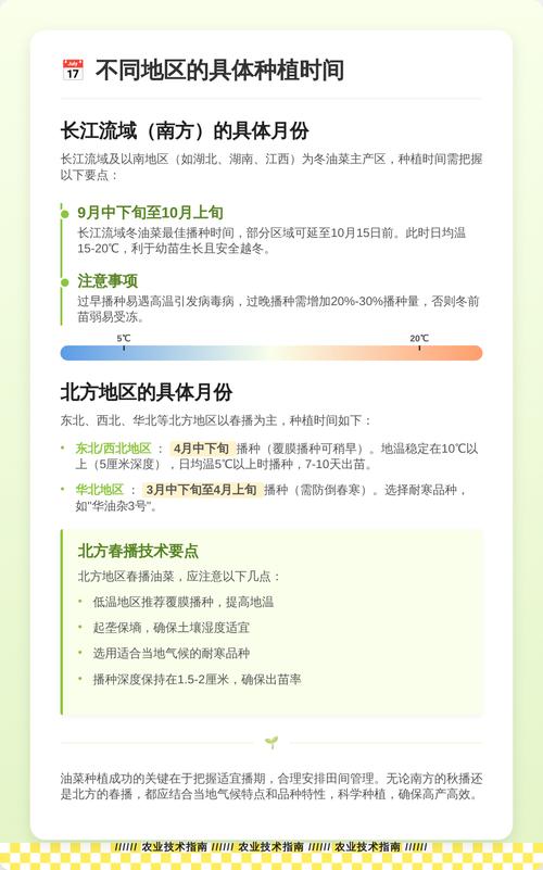 北方最晚几月种油菜_北方油菜种植时间及管理要点 北方最晚几月种油菜_北方油菜种植时间及管理要点