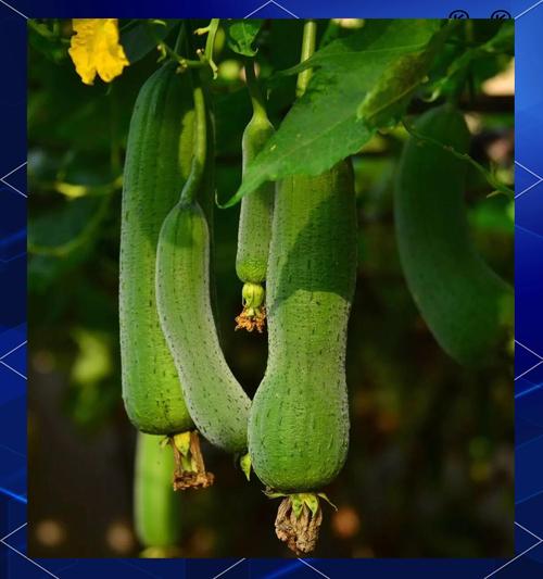 四川遂宁必吃十大美食_豆腐皮冲饼凉粉，地道风味等你尝！