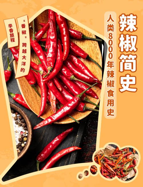 四川为什么吃辣椒_从观赏到麻辣文化传奇