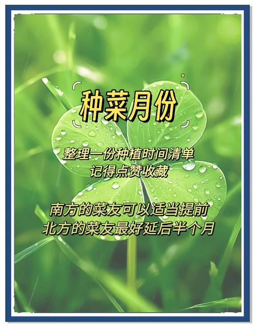 油菜北方什么时种_北方油菜秋春播种时间 油菜北方什么时种_北方油菜秋春播种时间