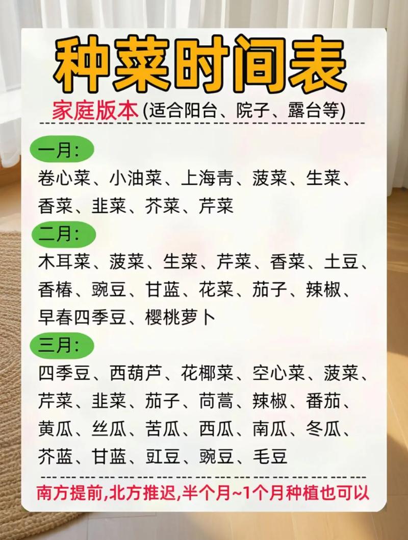 北方什么时间种油菜_春播秋播看气候，选对种子勤管理