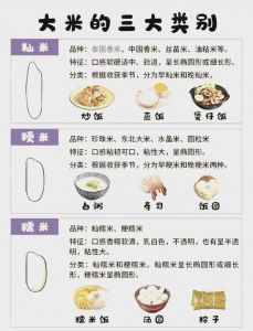 南方地区北方地区饮食习惯_面米口味大不同