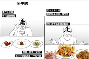 南北饮食文化差异_米饭面食口味风味差异