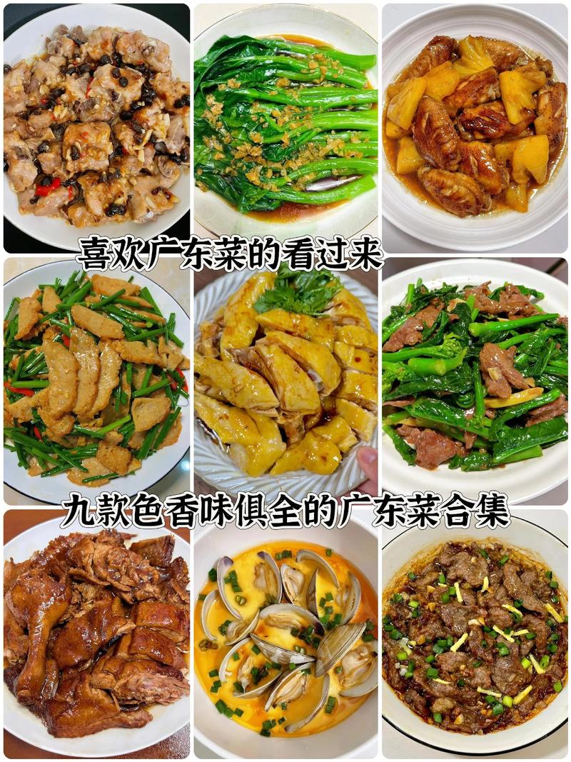 粤菜经典名菜十款_白切鸡烧鹅梅菜扣肉等经典美味 粤菜经典名菜十款_白切鸡烧鹅梅菜扣肉等经典美味