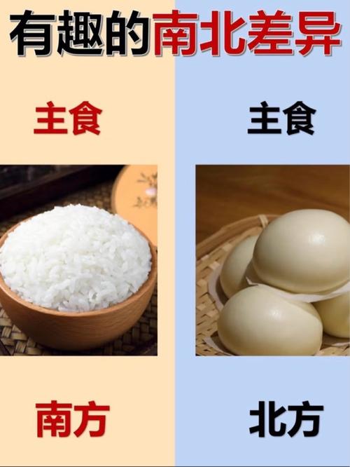 春节南北方饮食差异_饺子汤圆，口味各异情意浓