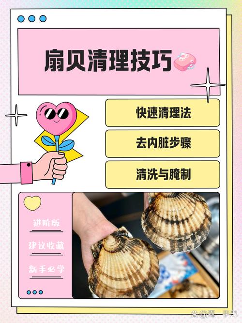 白扇贝肉怎么清洗图解_扇贝处理小技巧，安全入味有妙招