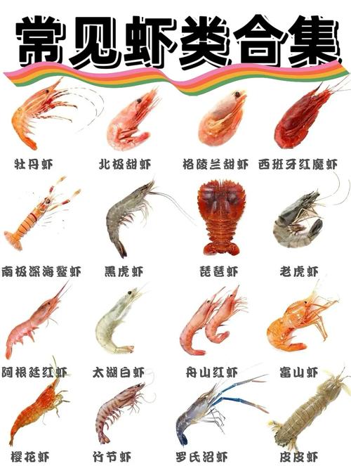 大虾和虾仁一样吗_大虾和虾仁怎么选？口感营养大不同