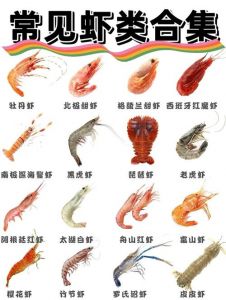 大虾和虾仁一样吗_大虾和虾仁怎么选？口感营养大不同