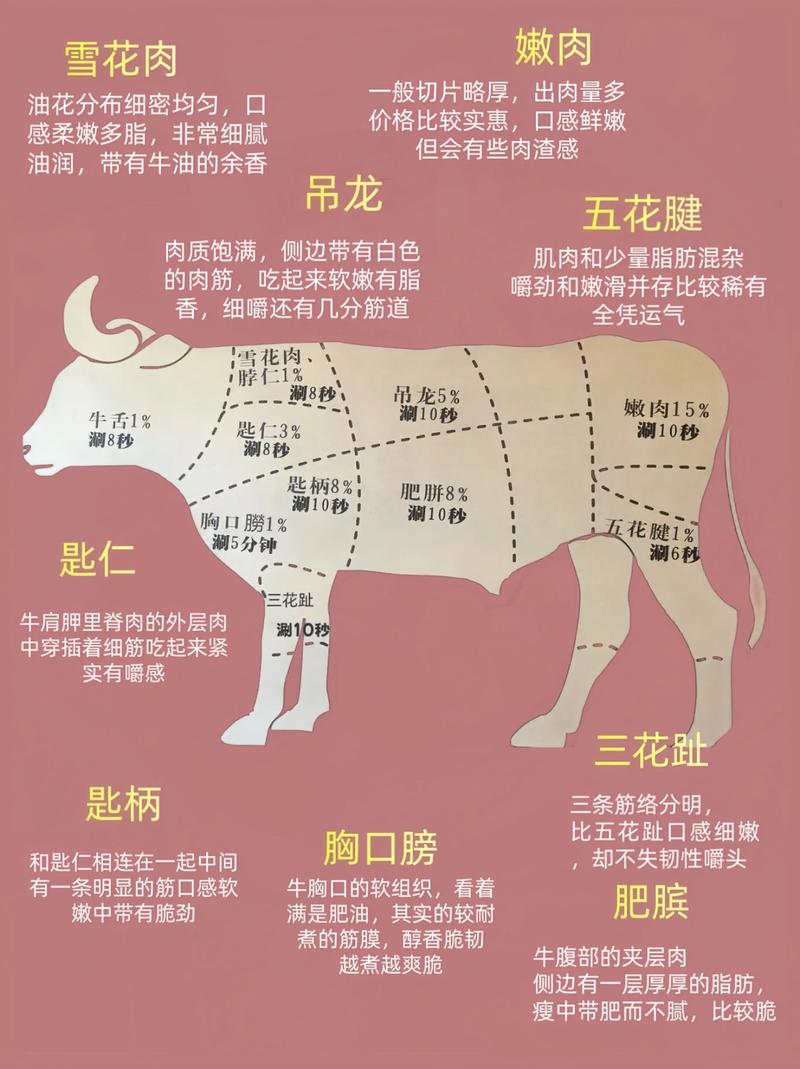 涮火锅牛的部位图解_吊龙嫩滑黄喉爽脆牛腩酥烂，各有所长！
