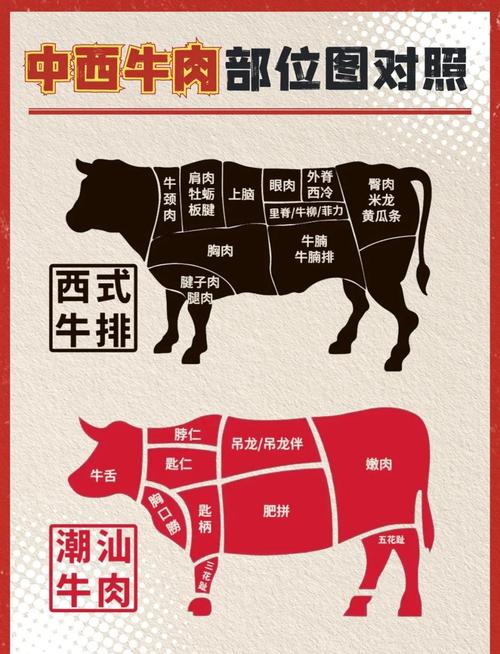 涮火锅牛的部位图解_吊龙嫩滑黄喉爽脆牛腩酥烂，各有所长！