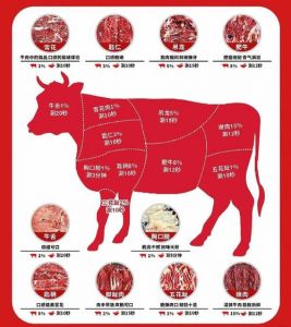 涮火锅牛的部位图解_吊龙嫩滑黄喉爽脆牛腩酥烂，各有所长！