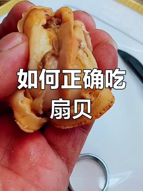 白扇贝肉怎么清洗图解_扇贝处理小技巧，安全入味有妙招