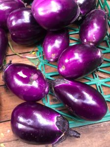 紫色圆茄子用去皮吗_紫茄皮要不要削？看情况，营养好但口感硬