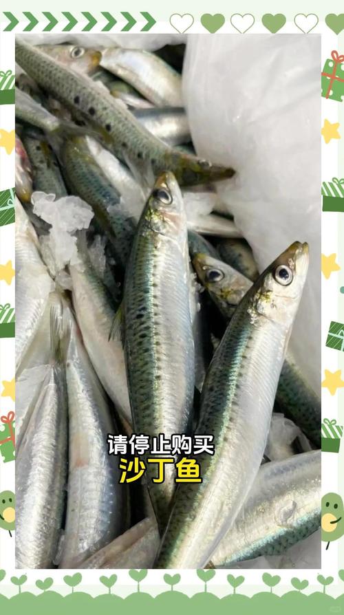 厄加勒斯沙丁鱼是冷水鱼吗_冷水和群居的生态重要鱼种
