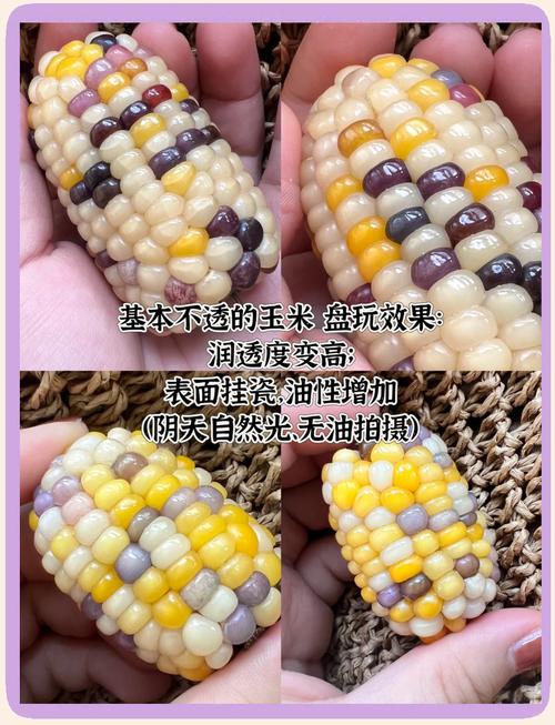 熟玉米和生玉米哪个容易坏_冷冻熟玉米保鲜好，口感佳，生玉米易流失营养
