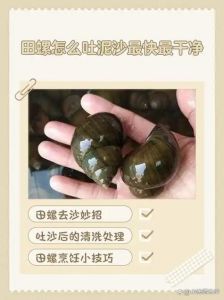 田螺怎么吐泥沙最快最干净_田螺清洗有妙招，五种方法任你选！