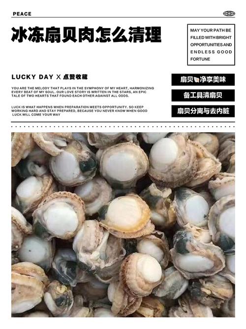 冻扇贝肉怎么清洗干净图解_解冻清洗冷冻扇贝肉，简单易学保鲜嫩