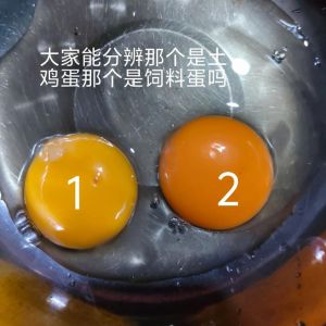 雏鸡蛋和普通鸡蛋哪个好_初生鸡蛋营养更高？口感不错但别太贵！