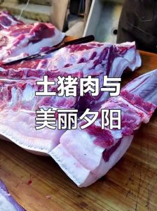 猪肋条肉是五花肉吗_肋条肉与五花肉的区别及烹饪技巧