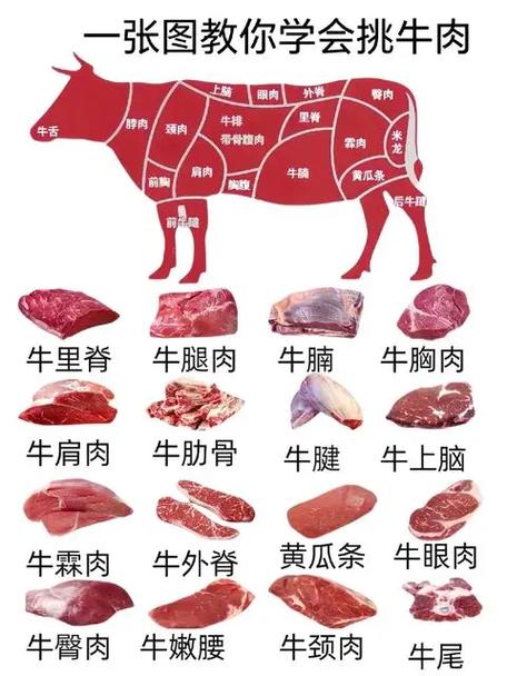 牛嫩肩肉是哪个部位_涮火锅卤炖皆美味！
