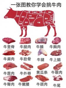 牛嫩肩肉是哪个部位_涮火锅卤炖皆美味！
