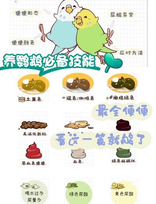 鸡粪便颜色常识图解_鸡粪颜色形状异常？预示疾病！