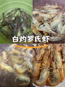 罗氏虾白灼水开煮几分钟_白灼虾煮对时间鲜弹牙，蒜泥白醋最经典！