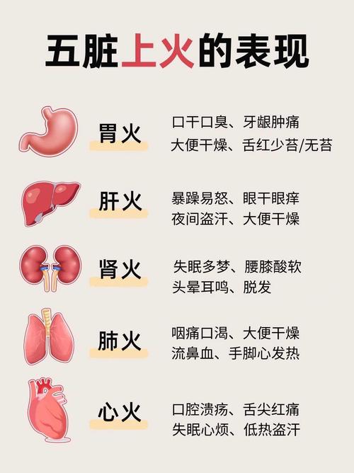 火候饮食文化起源于哪里_鲁菜之源,煤炭烹饪技艺 火候饮食文化起源于哪里_鲁菜之源,煤炭烹饪技艺