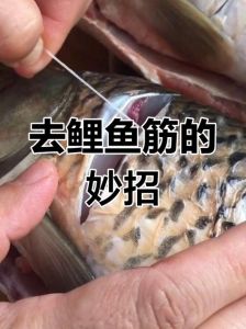 鲤鱼怎么去腥线_去除鲤鱼腥味妙招