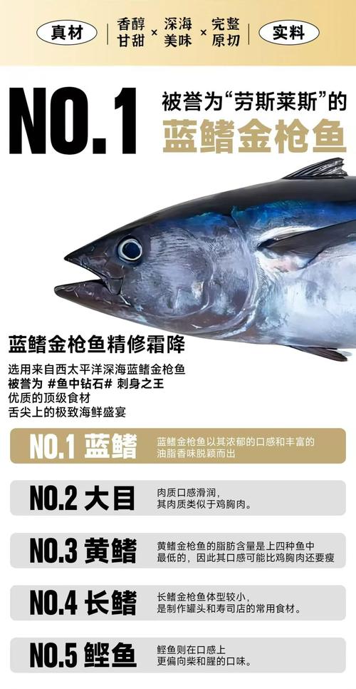 蓝鳍大腹和鱼腩是一个吗_极致肥美口感，生鲜煎烤皆可尝